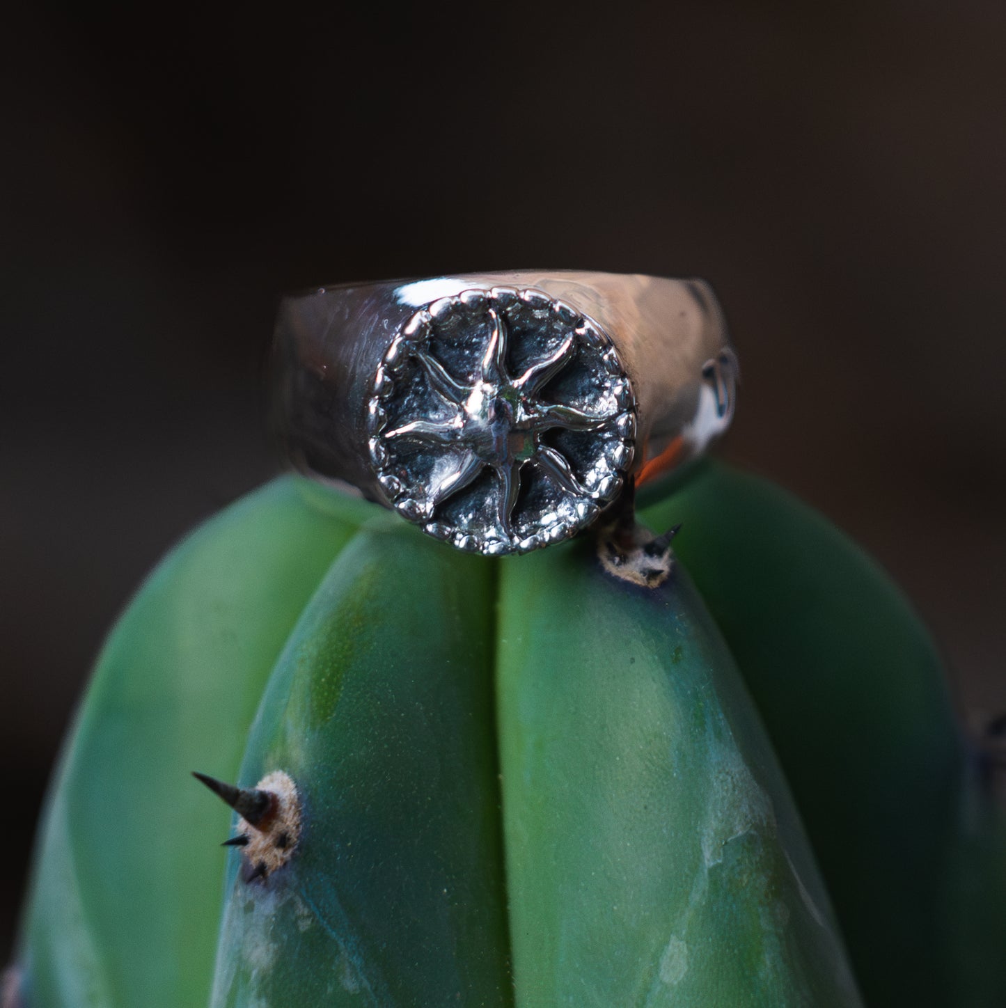 Anillo sol