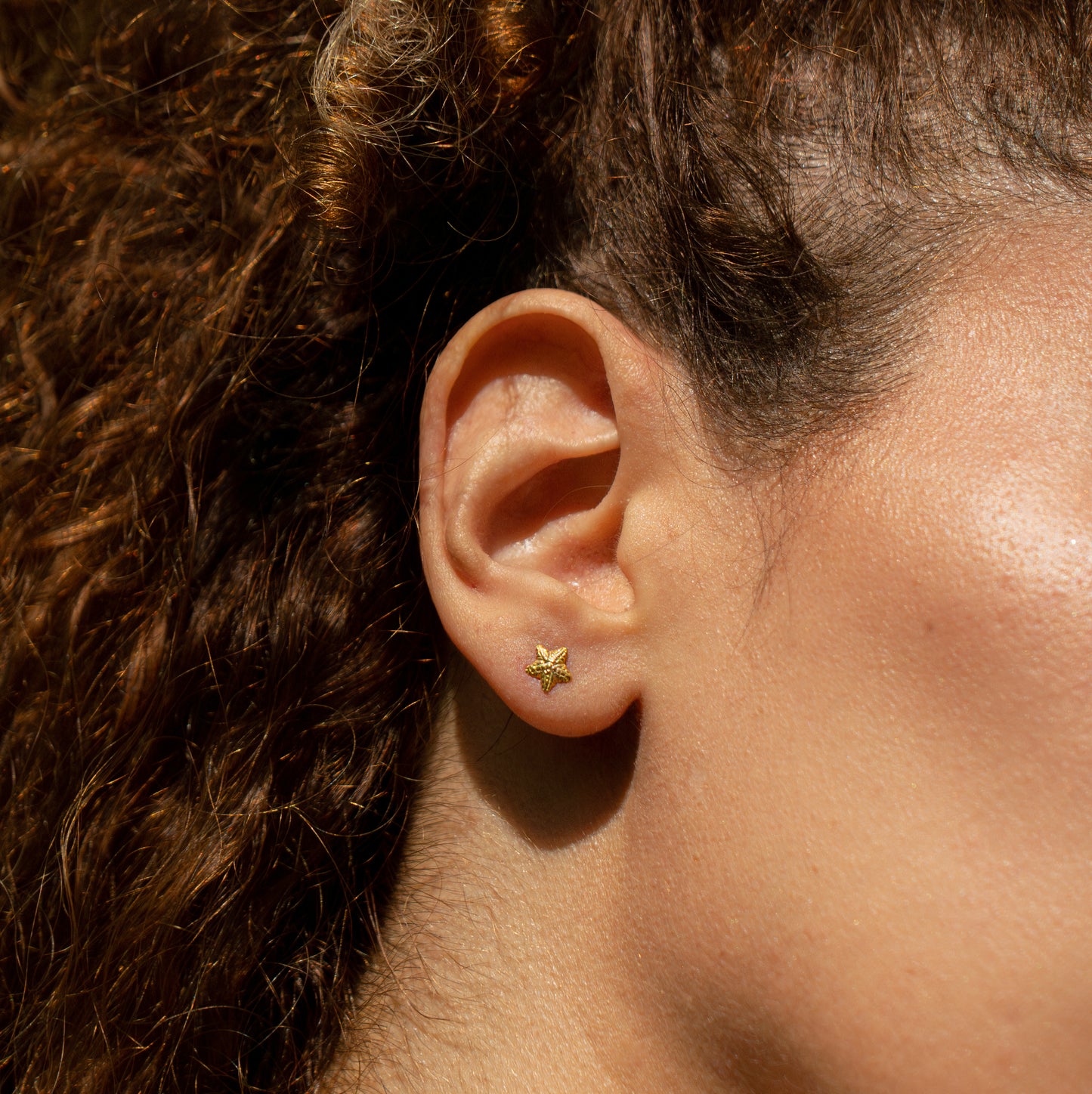 Arete estrella de mar
