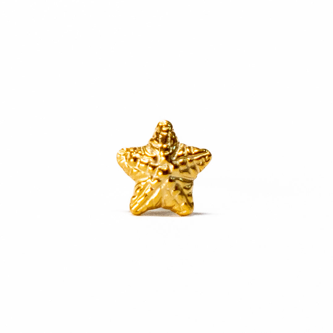 Arete estrella de mar