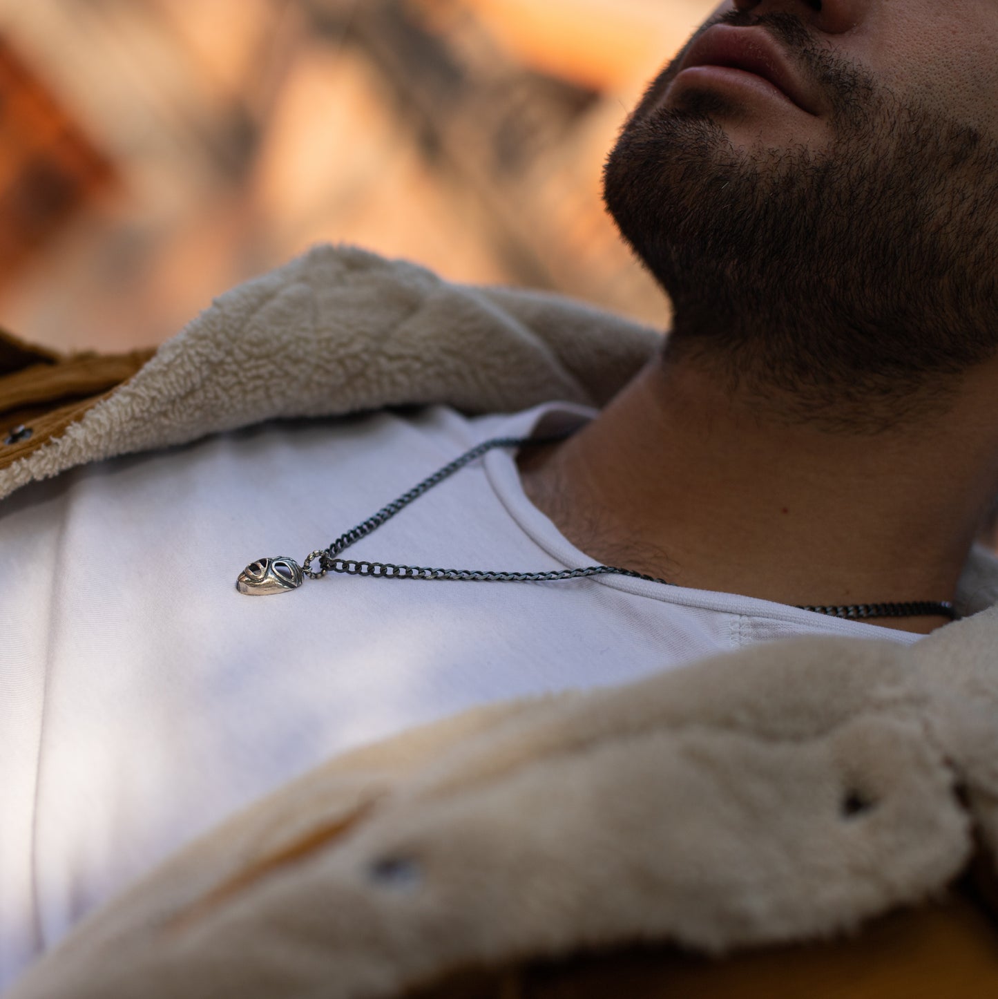 Collar mascara de luchador
