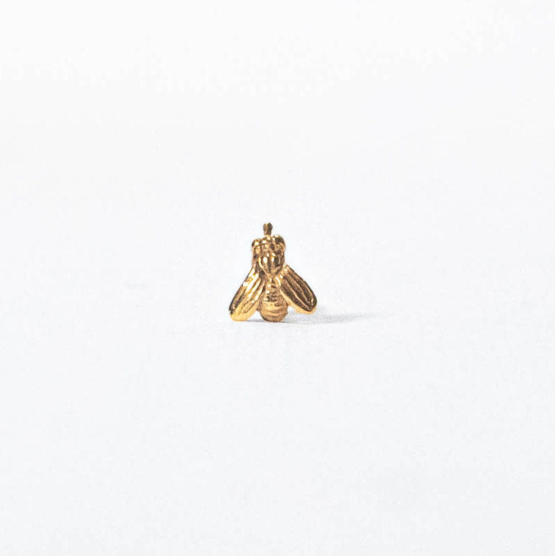 Arete ponte mosca oro amarillo 14 K