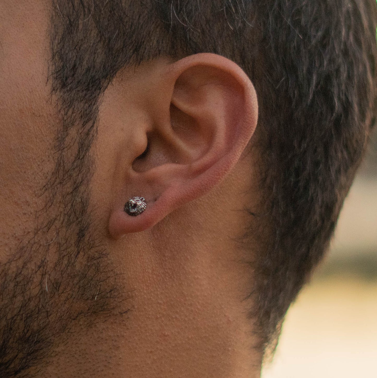 Arete león