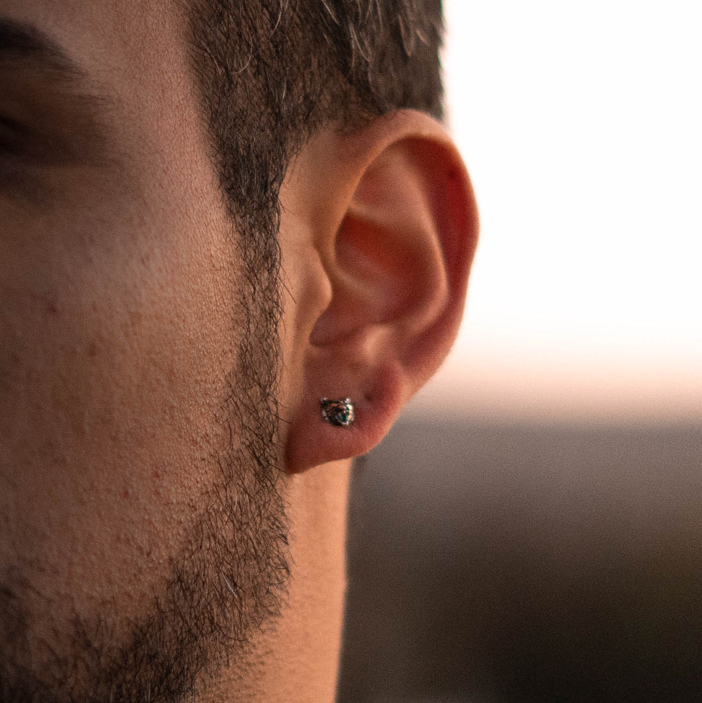 Arete tigre