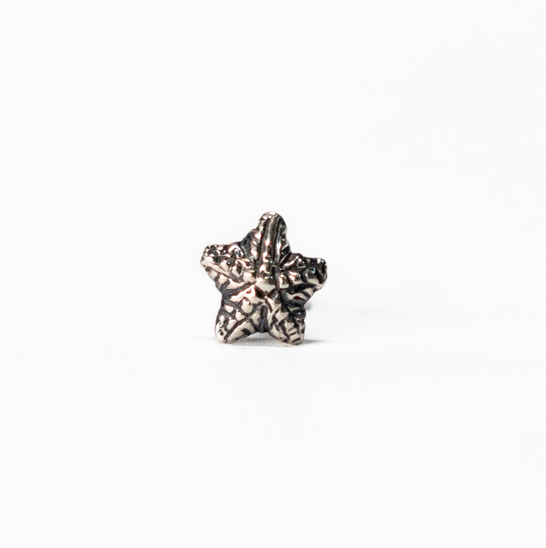 Arete estrella de mar