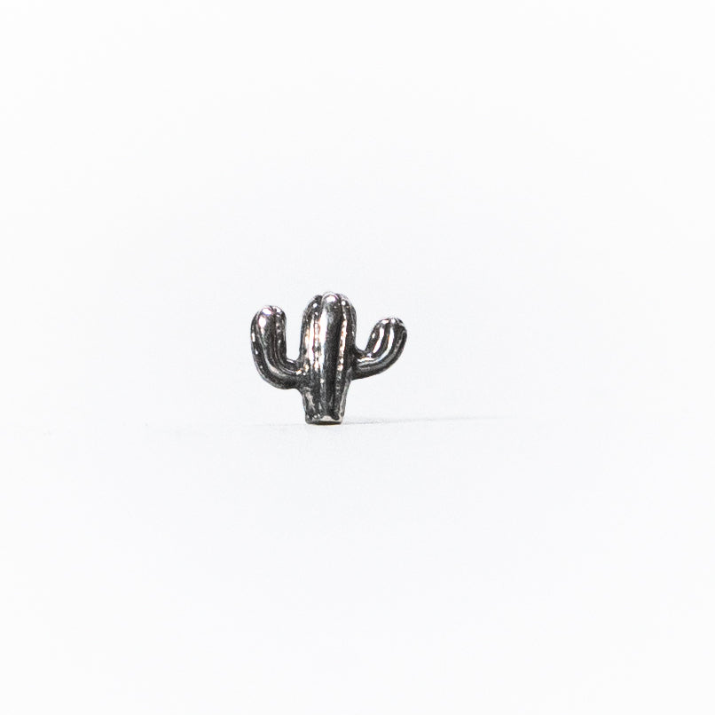 Arete cactus