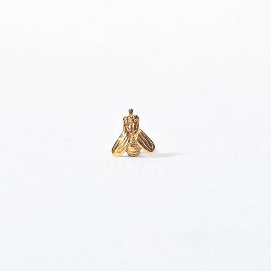 Arete ponte mosca oro amarillo 14 K